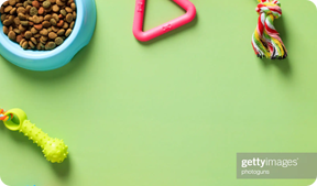 June is National Adopt A Cat Month!